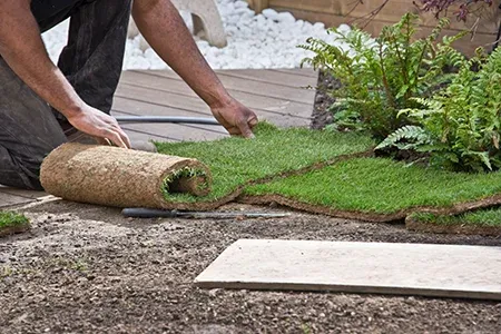 lawn technician installing sod