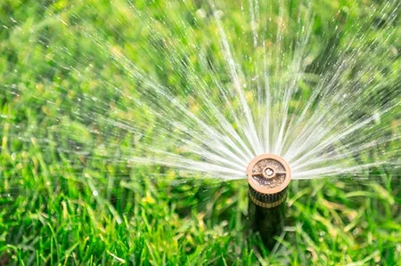 sprinkler system