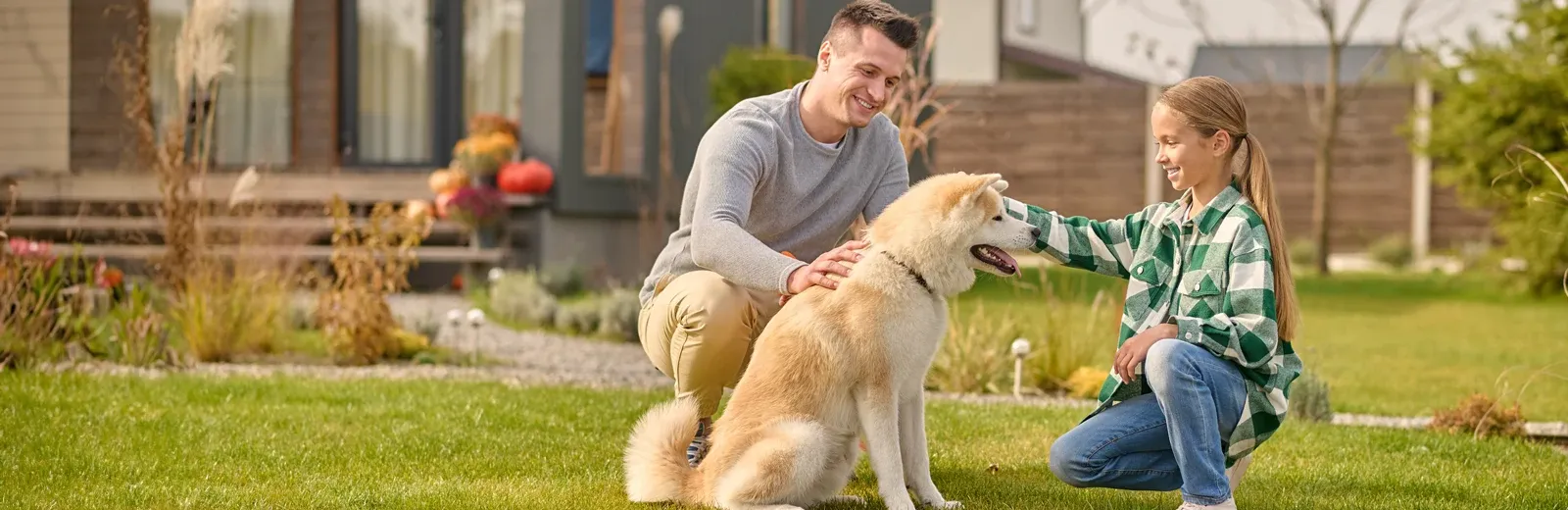 petting dog
