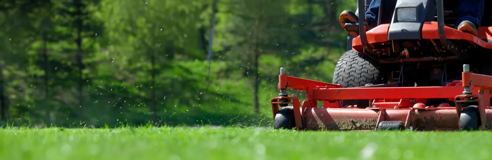 lawn care mowing