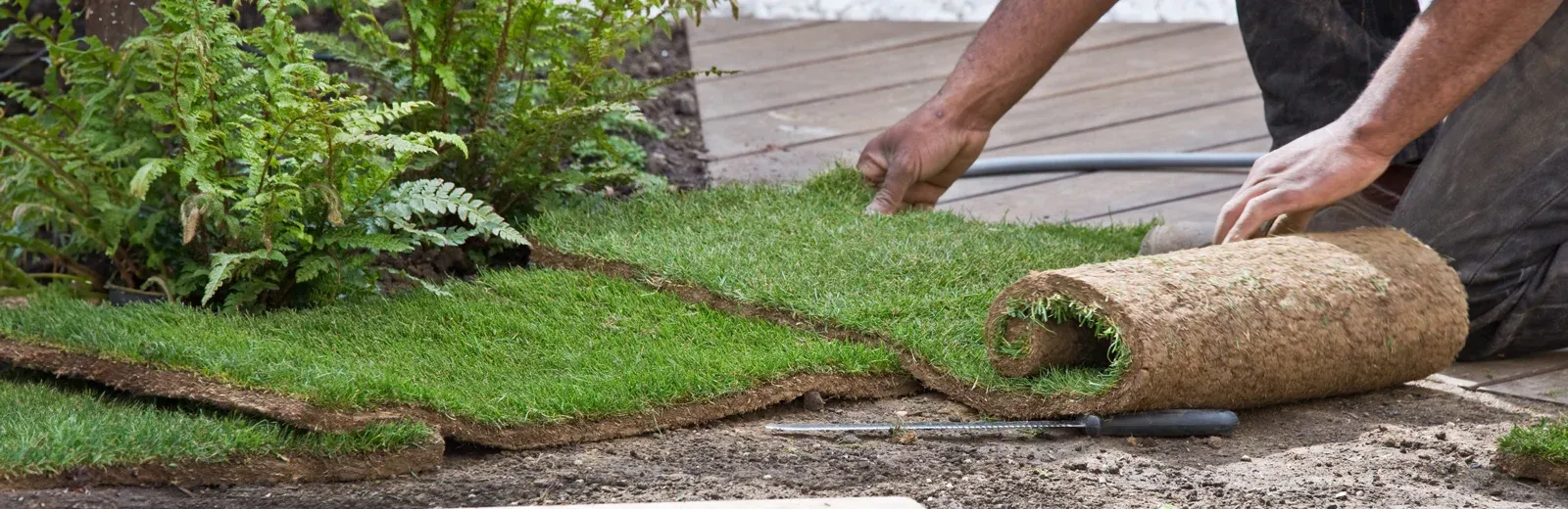lawn technician installing sod