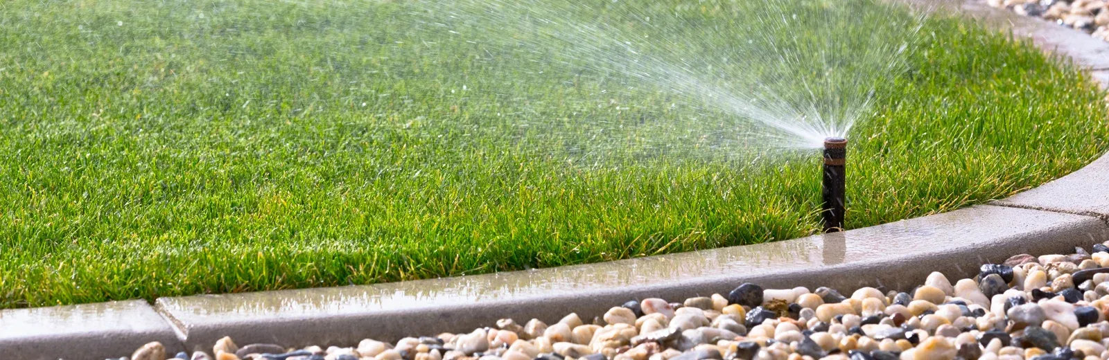 sprinkler watering lawn