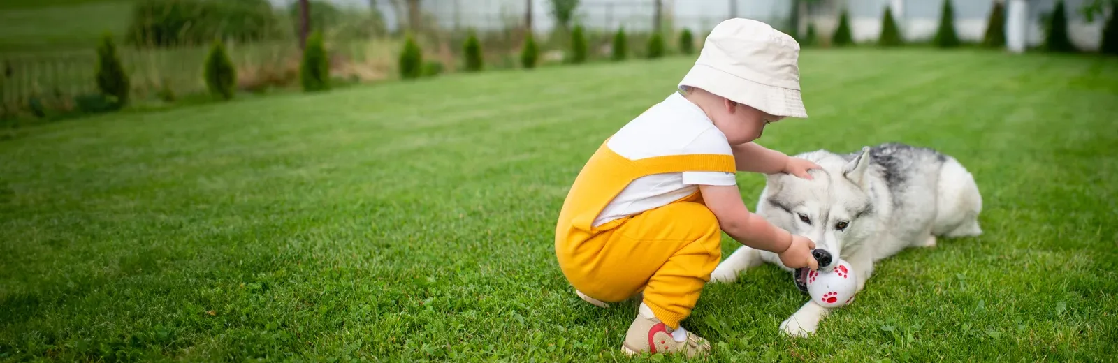 toddler petting dog