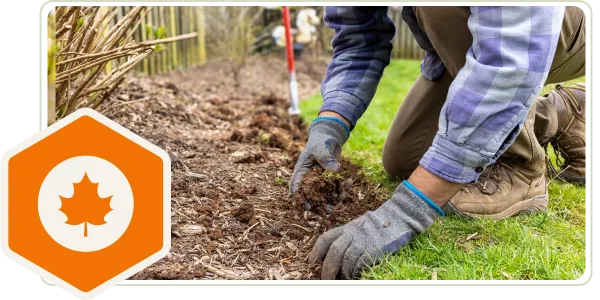 lawn maintenance fall edging flower bed