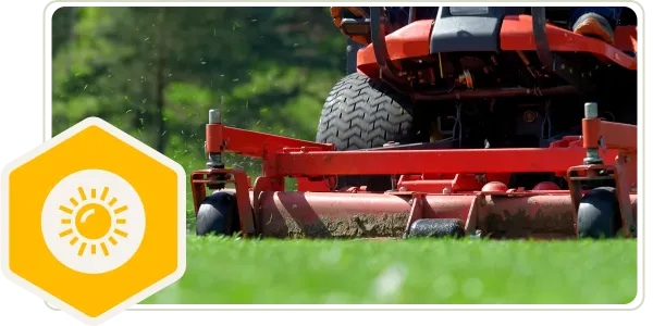 lawn maintenance summer mowing