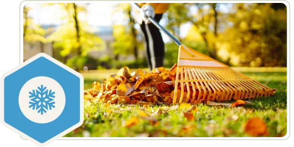 lawn maintenance winter cleaning leaves