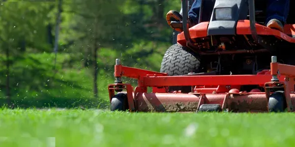 lawn care mowing