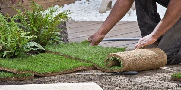 lawn technician installing sod